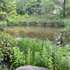 23-05-16 12-58-44 5407